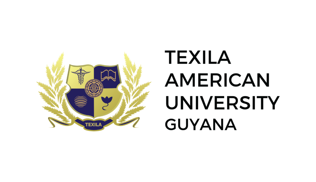 Global Perspectives: How Texila American University Supports International Students