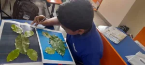 Lancers Schools’ Leaf Artistry Competition Sets New Precedent in the Realm of Nature Inspired Creativity