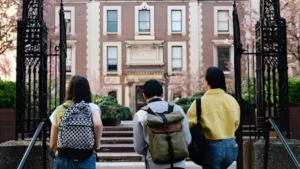 New Zealand is Emerging Strongly in India’s Study Abroad