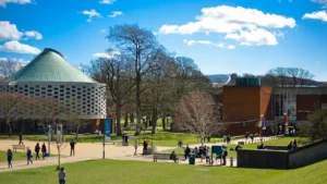 University of Sussex Eyes India Campus, Plans to Focus beyond Tech, Management